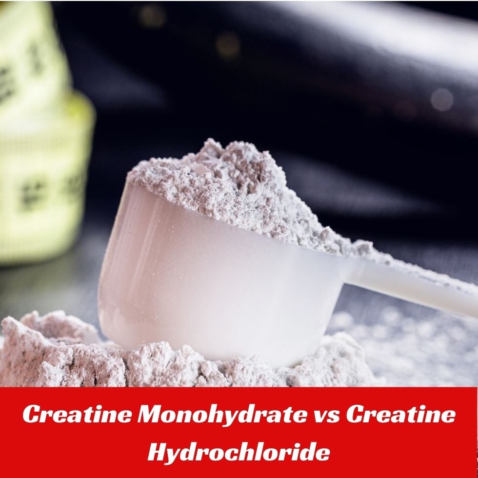 Creatine Monohydrate vs Creatine Hydrochloride