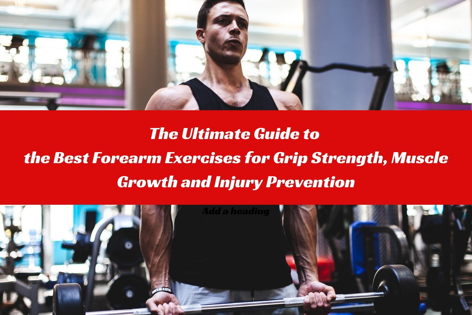 Best Forearm Exercises